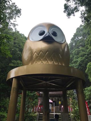 鷲子山上神社本宮の参拝記録(さくらもちさん)