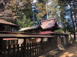 鷲神社の参拝記録(みつをさん)