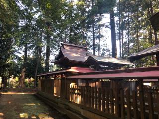 鷲神社の参拝記録(みつをさん)