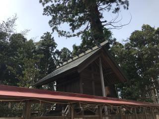 鹿嶋三嶋神社の参拝記録(さくらもちさん)