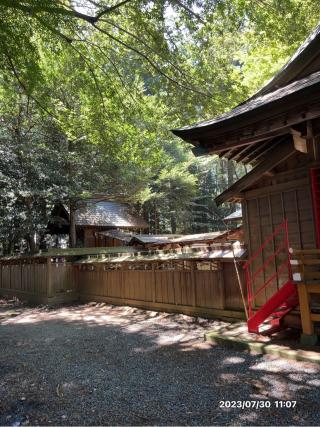 鹿島神社（菅谷鹿島神社）の参拝記録(やまちゅーさん)