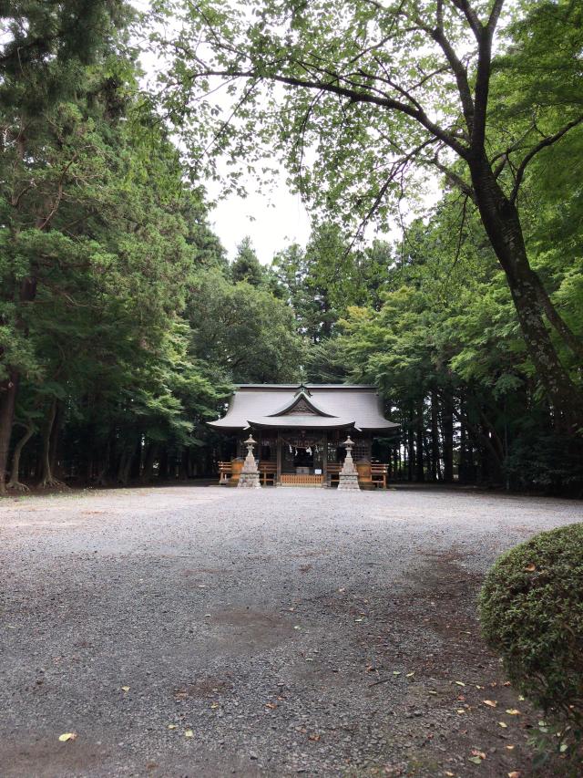 鹿島神社（菅谷鹿島神社）の参拝記録(ミンコさん)