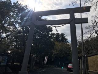 鹿島神社（菅谷鹿島神社）の参拝記録(さくらもちさん)