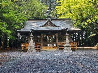 鹿島神社（菅谷鹿島神社）の参拝記録(飛成さん)