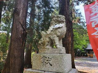 鹿島神社（菅谷鹿島神社）の参拝記録(飛成さん)