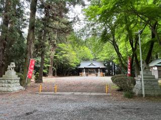 鹿島神社（菅谷鹿島神社）の参拝記録(てんさん)