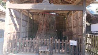 静神社の参拝記録(ありさん)