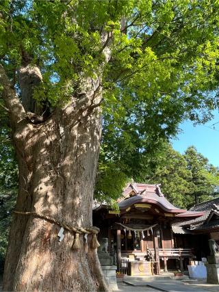素鵞神社の参拝記録(ひで。さん)