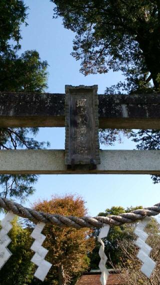 城山八幡神社の参拝記録(生臭坊主さん)