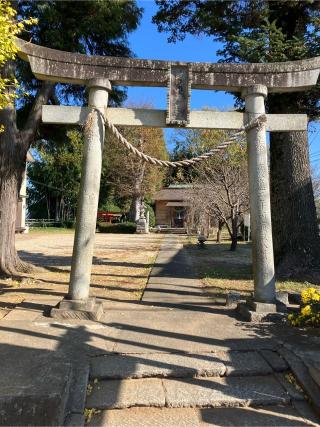 城山八幡神社の参拝記録(ヤマさん)