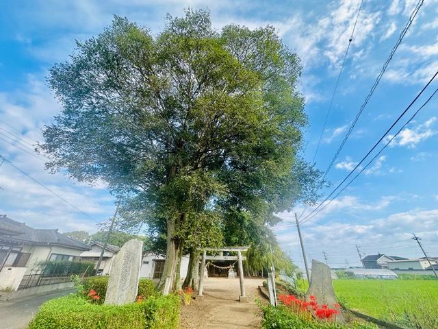 國府田神社の写真1