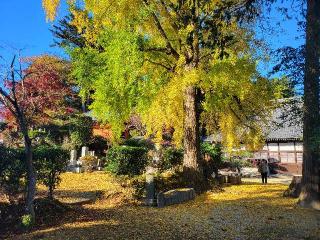 三嶋山明星院如意輪寺の参拝記録(まっきーさん)