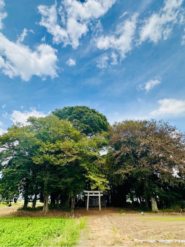 米御膳神社の写真1