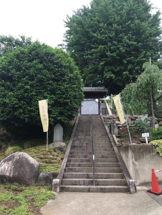 金剛寺の参拝記録(さくらまんじゅうさん)