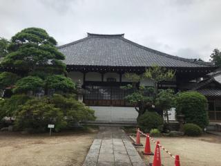 金剛寺の参拝記録(さくらまんじゅうさん)