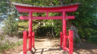 鷲神社の参拝記録(のりさん)