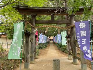 國王神社の参拝記録(GYOSHIさん)