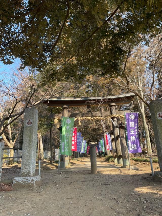 國王神社の参拝記録10