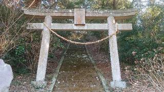 鷲神社の参拝記録(のりさん)