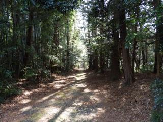 胎安神社の参拝記録(気ままな御朱印記録さん)