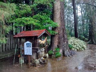胎安神社の参拝記録(タクさん)