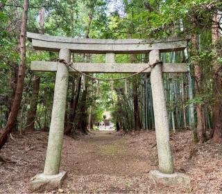 胎安神社の参拝記録(のぶさん)