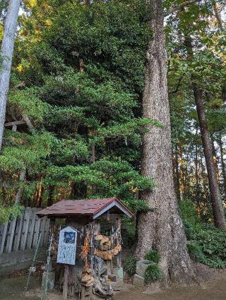 胎安神社の参拝記録(おがおが1262さん)