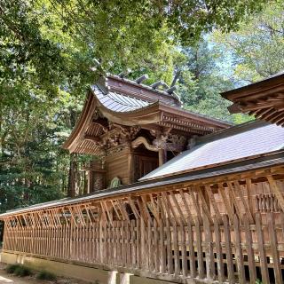 桜川磯部稲村神社の参拝記録(のぶさん)
