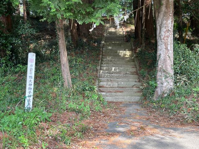 鴨大神御子神主玉神社の参拝記録5