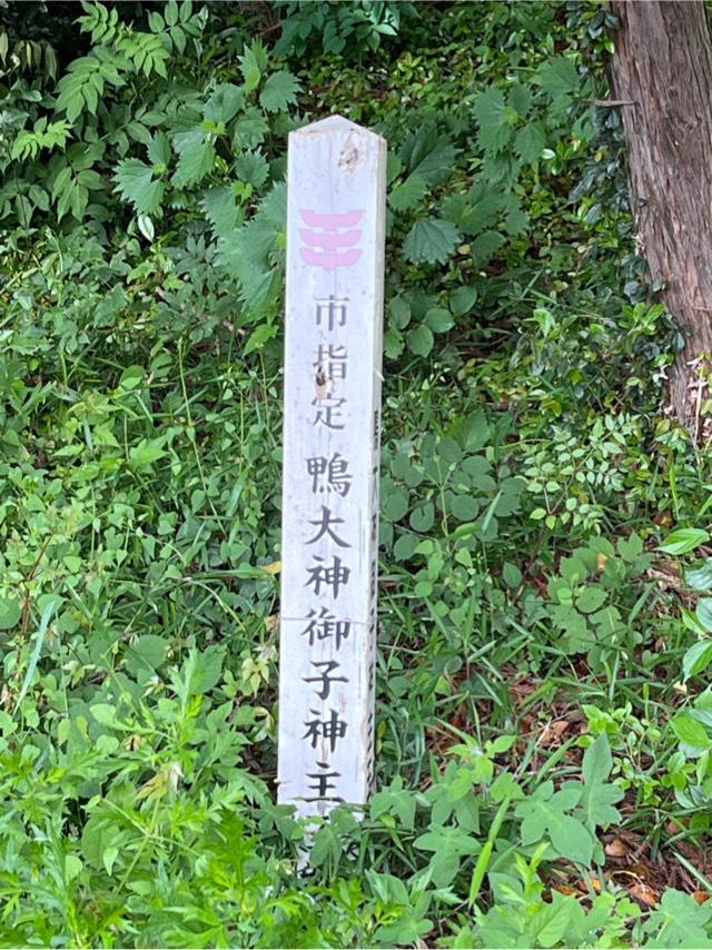 鴨大神御子神主玉神社の参拝記録4