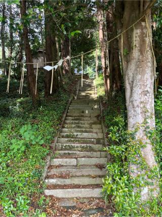 鴨大神御子神主玉神社の参拝記録(てんさん)