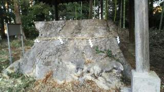 犬田神社の参拝記録(ぱろぱろさん)