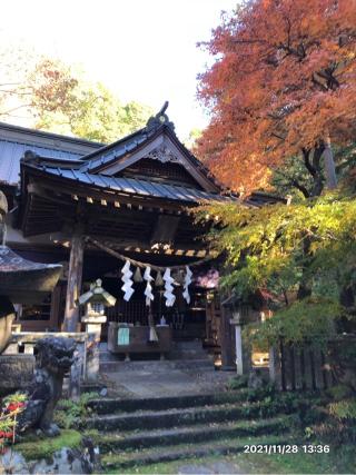 五所駒瀧神社の参拝記録(やまちゅーさん)