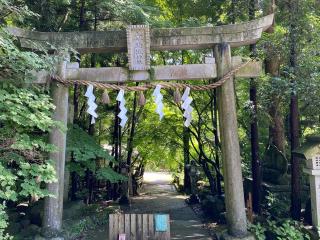 五所駒瀧神社の参拝記録(さくらもちさん)
