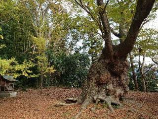 八柱神社の参拝記録(グインさん)