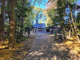 大國玉神社の参拝記録(まっきーさん)