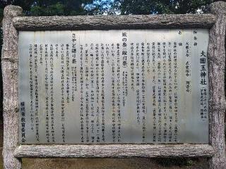 大國玉神社の参拝記録(トシさん)