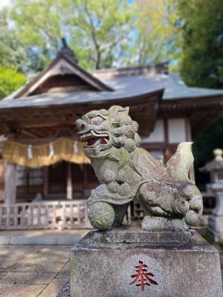 大國玉神社の参拝記録(kanalatteさん)