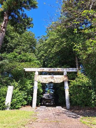 大國玉神社の参拝記録(kanalatteさん)