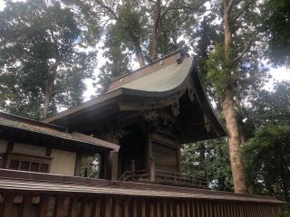 大國玉神社の参拝記録(みつをさん)