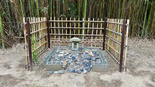 青龍神社の参拝記録(金猿さん)