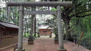 御船神社の参拝記録(ぜんちゃんさん)