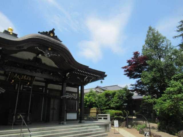 薬師寺の参拝記録3