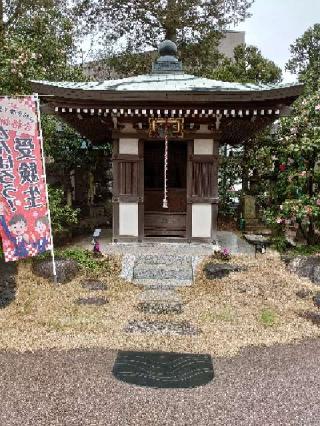 薬師寺の参拝記録(みことハムさん)