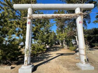 八坂神社の参拝記録(智恵子さん)