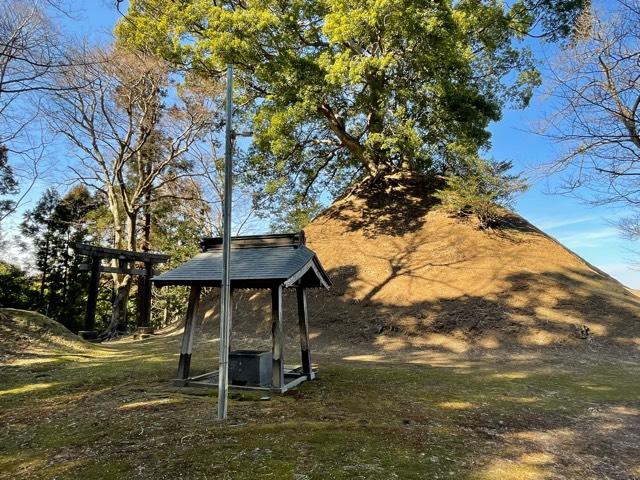 茨城県鉾田市上太田527番地 楠木神社の写真6