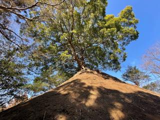 楠木神社の参拝記録(智恵子さん)