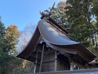 楠木神社の参拝記録(さくらもちさん)