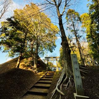 楠木神社の参拝記録(のぶさん)