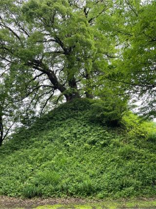 楠木神社の参拝記録(悠馬さん)